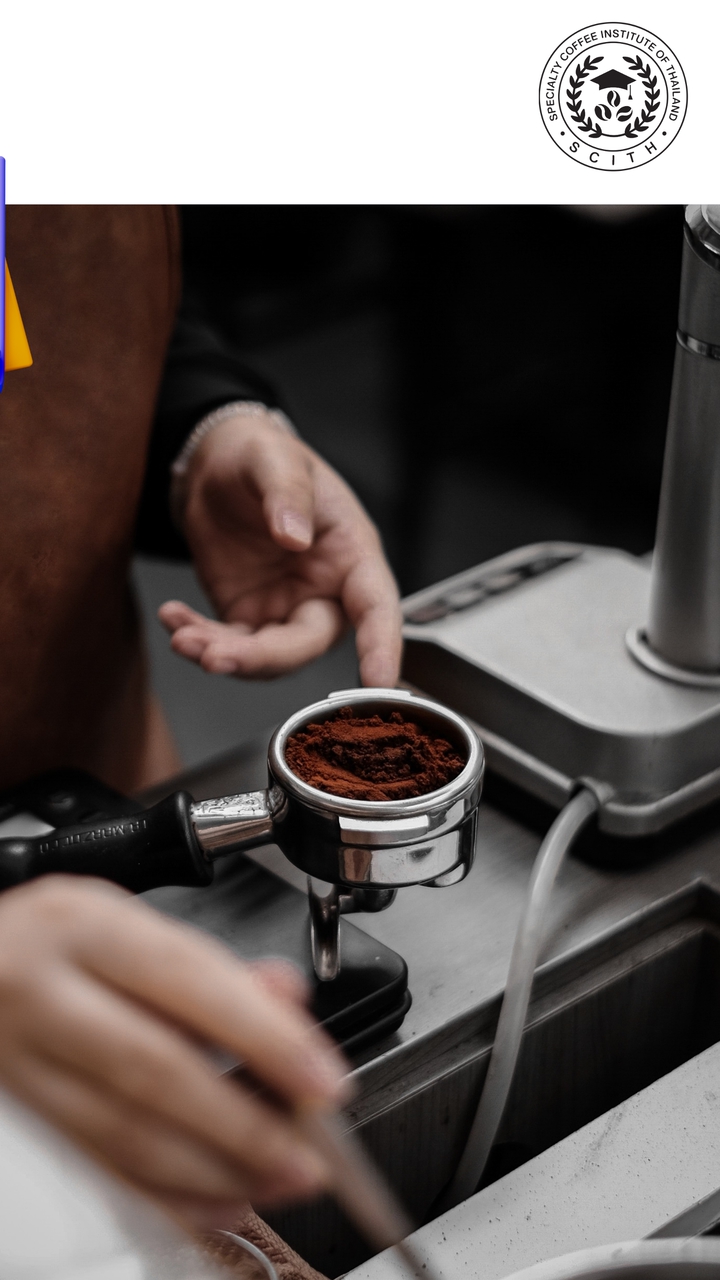 BARISTA & ESPRESSO COURSE