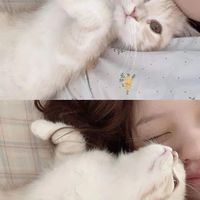 🍙 ֹ     #  ดันแอค by ภ ั ท ร   𓈒 ひめ   ֹ