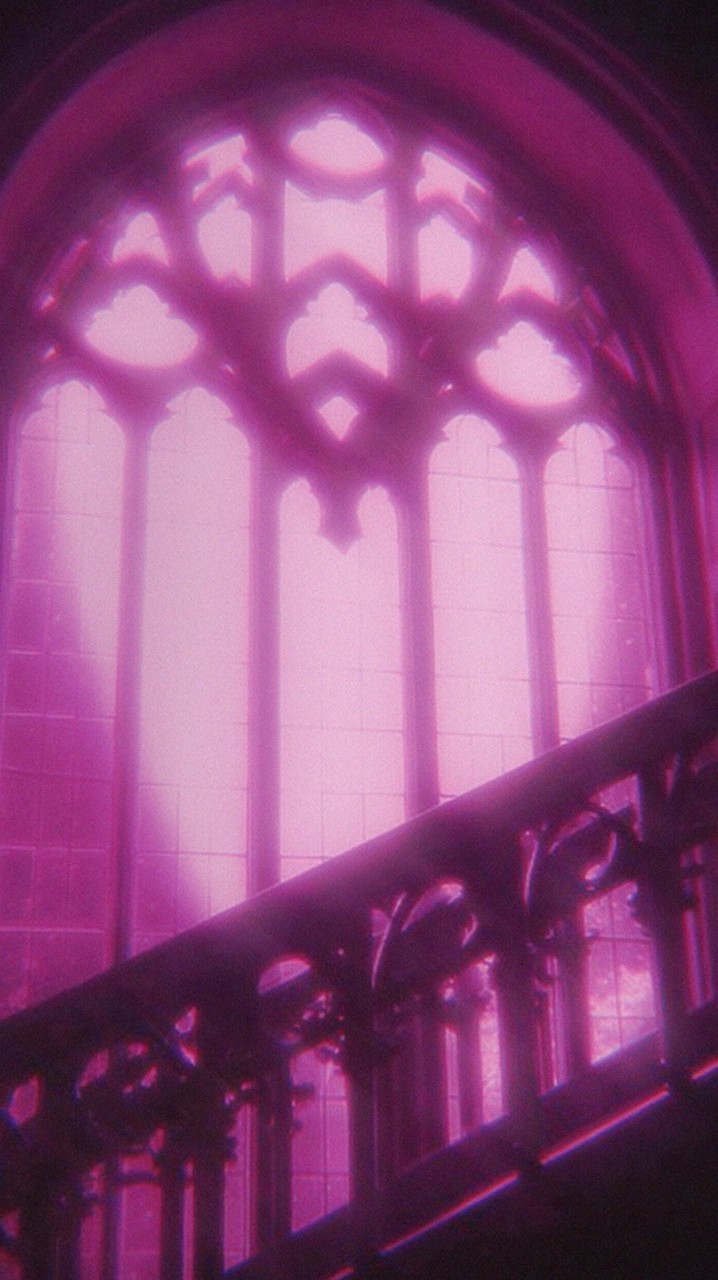 👑皇室家族｜夜殿VIP專屬👑