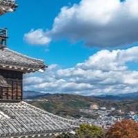 0168邱薇妮-旅遊破盤特賣會