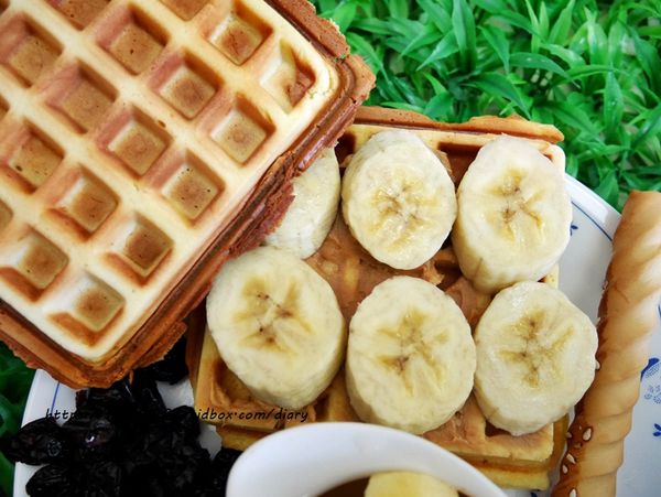 【獅子心】二合一熱壓吐司機 #鬆餅機 #三明治機 #可換烤盤 #附食譜 #點心 #午茶 #親子手作 (23).JPG