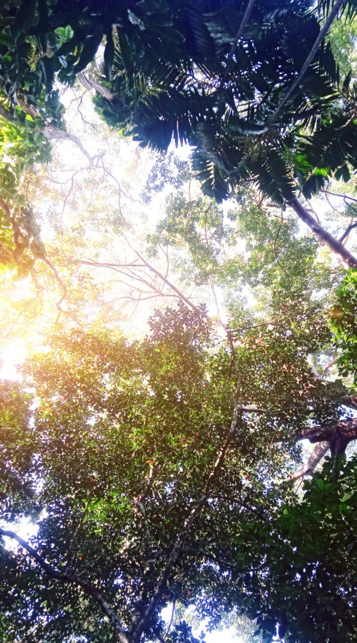 คุยเล่น แก้เหงา หาเพื่อน คนคุยได้ แลก ไอจีได้