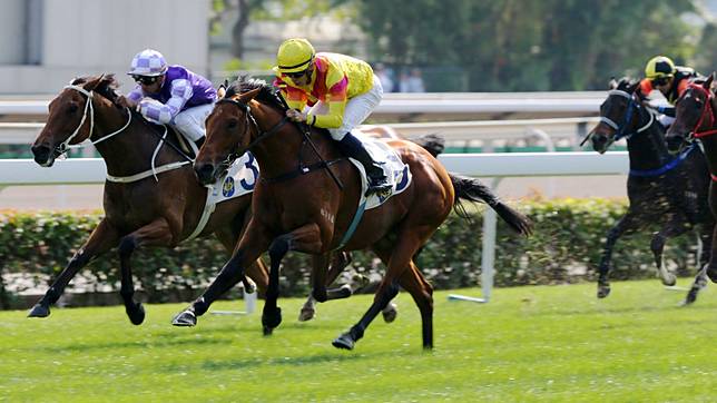 one generation horse