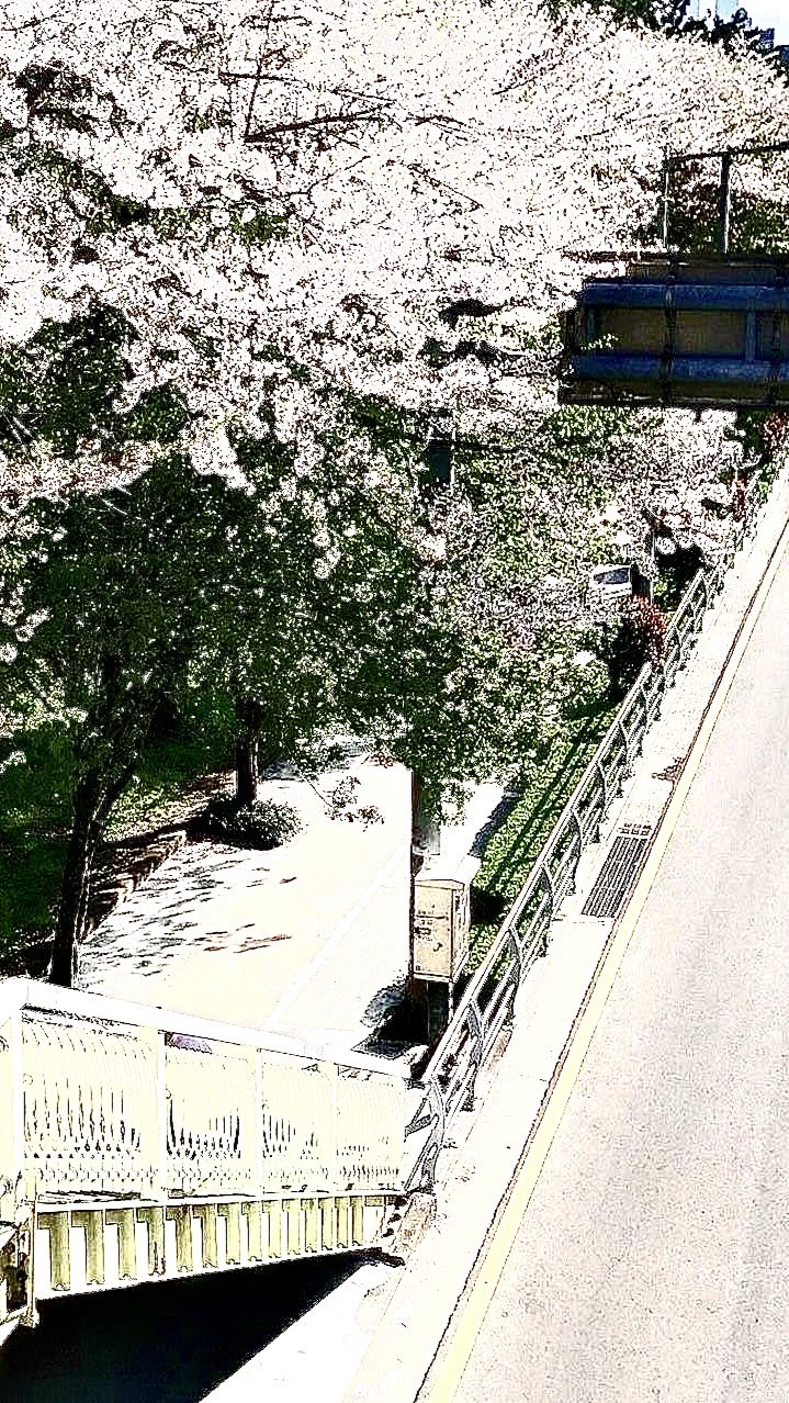 両手いっぱいの愛をキミに。