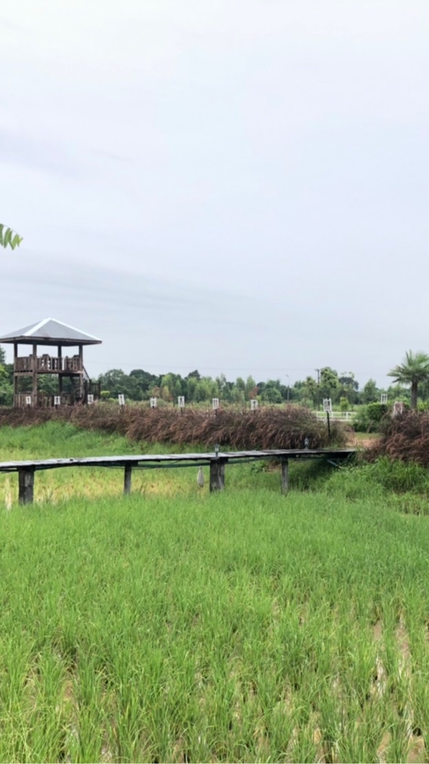 ตลาดนัดออนไลน์กาฬสินธุ์เข้ากลุ่มฟรี
