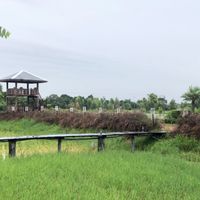 ตลาดนัดออนไลน์กาฬสินธุ์เข้ากลุ่มฟรี