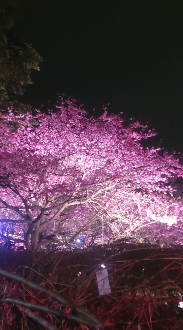 台灣自由行分享