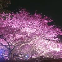 台灣自由行分享