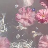 実況者グループ募集中！マネージャーさん、編集者さん、絵師さんなども