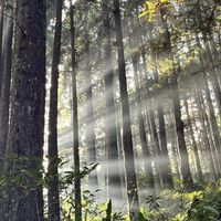 💞2026/2/14山上人家/鵝公髻山