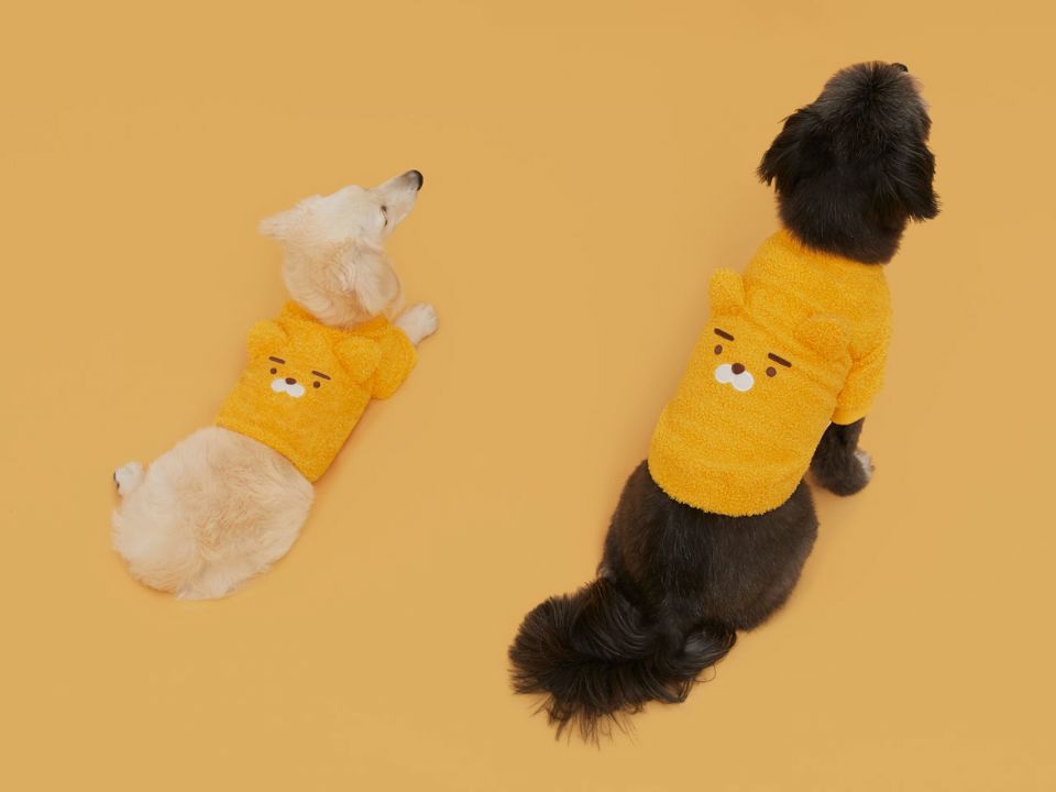 圖片來源：KAKAO FRIENDS.KR