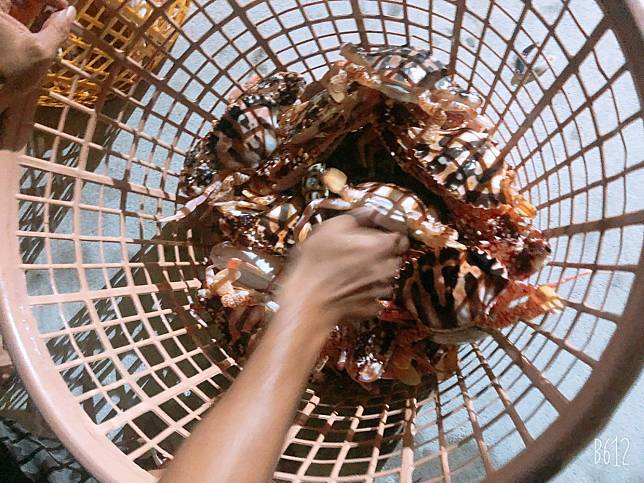 ▲秋冬季正是螃蟹最美味的季節（圖/奧丁丁市集）