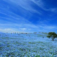 恋愛しよ〜？(芸能人なりきり)