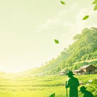 อาสาสมัครเกษตรหมู่บ้าน (อกม.) อำเภอเพ็ญ