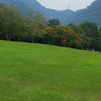 楊青春活力派
