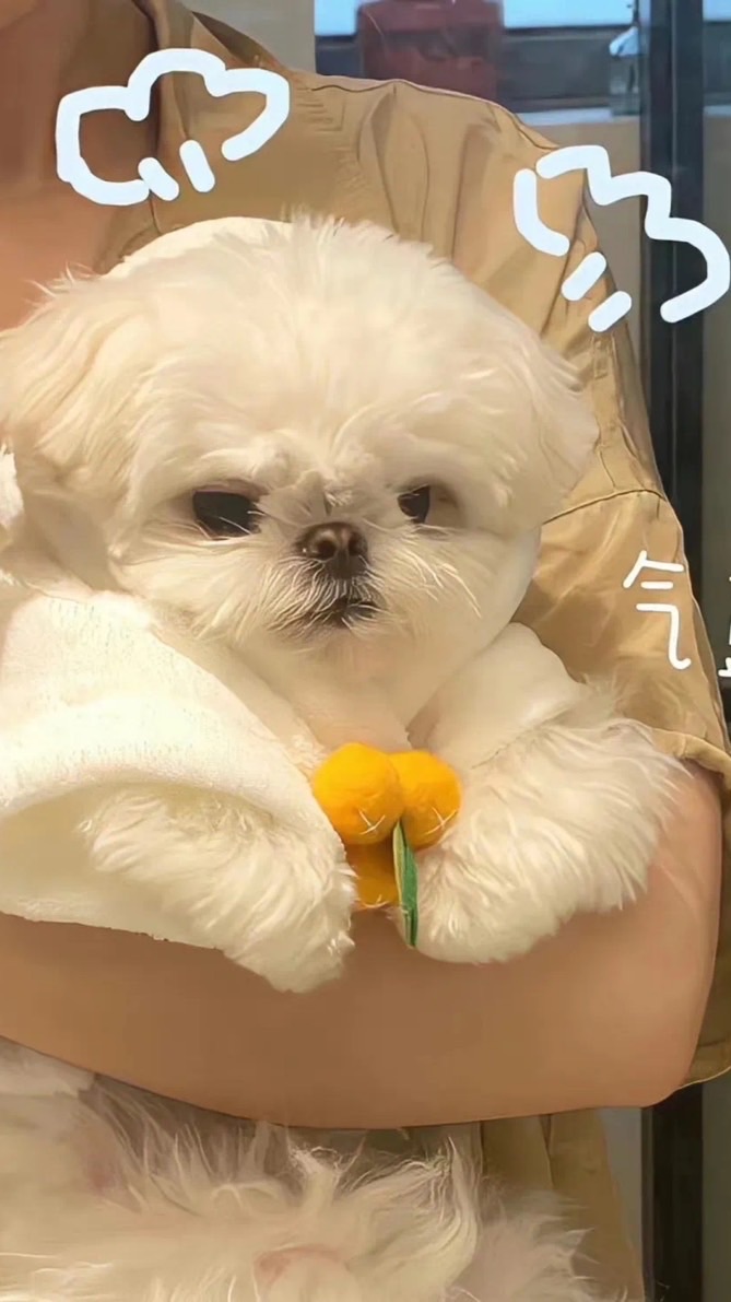 แจกวอลเปเปอร์