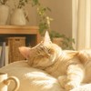 🐦️心のひだまり⭐️🌷ゆったり☕️ライブトーク🎙️しましょう🌷⭐️カフェオープン🐦️