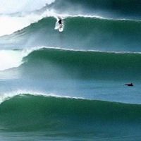 🏄‍♀️🏄台灣浪況分享