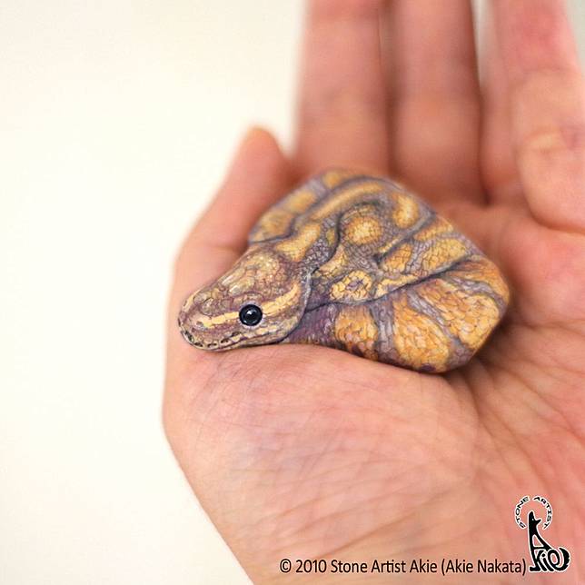 610 Gambar Hewan Yang Mudah Dilukis HD Terbaik