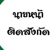 นายหน้าติดสังกัดพื้นทีพัทลุง