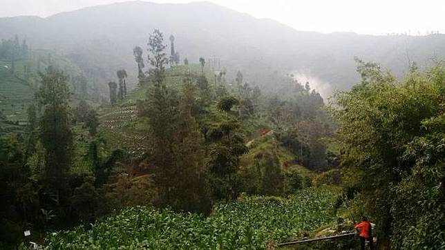 Penjelasan Ilmiah Kabut Misterius Saat Heli Basarnas Jatuh