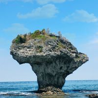 海島旅行分享趣