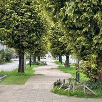 松並青葉西町内会役員会（R6年度）