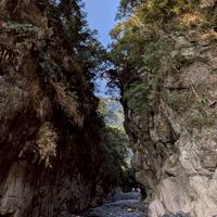 115-03-16武界雲海民宿