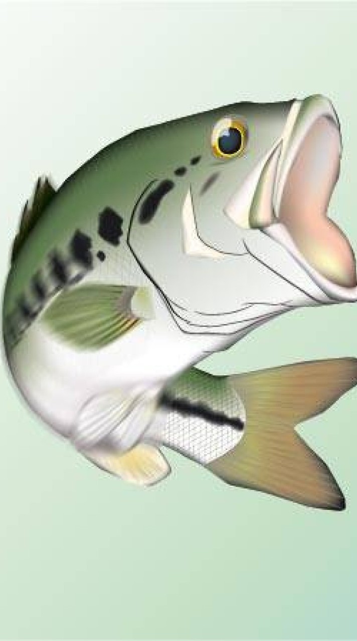福島バス釣り情報交換＆サークル‪🎣‬