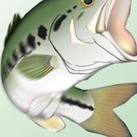 福島バス釣り情報交換＆サークル‪🎣‬