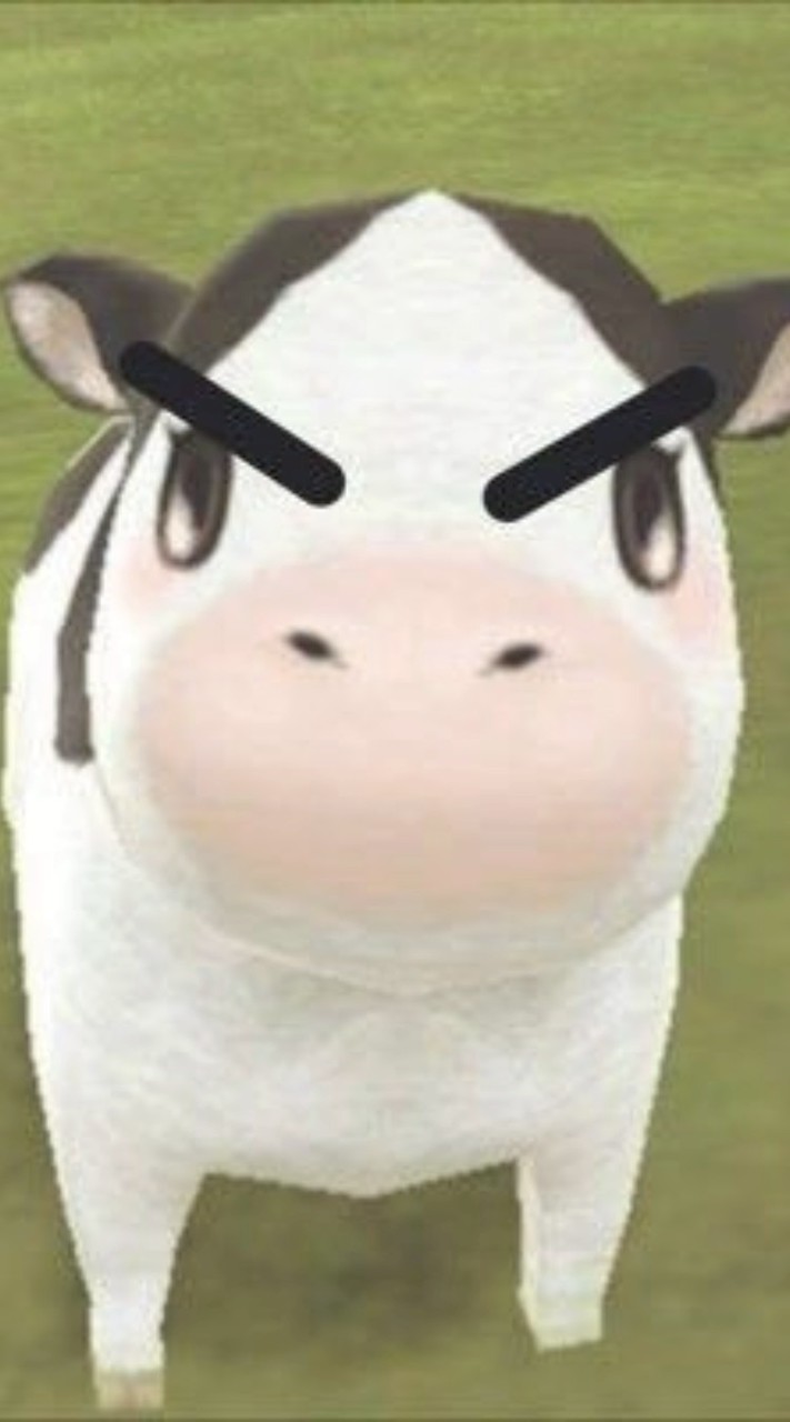 ฉลามคนนี้จะมีแต่ต้าววาฬ