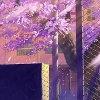 𐌼αнσʋ Ʋиιѵɛя𝗌𝗂𝚝𝚢 [role play★]