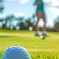 🐇みんなのゴルフ⛳️🦕福井🦀