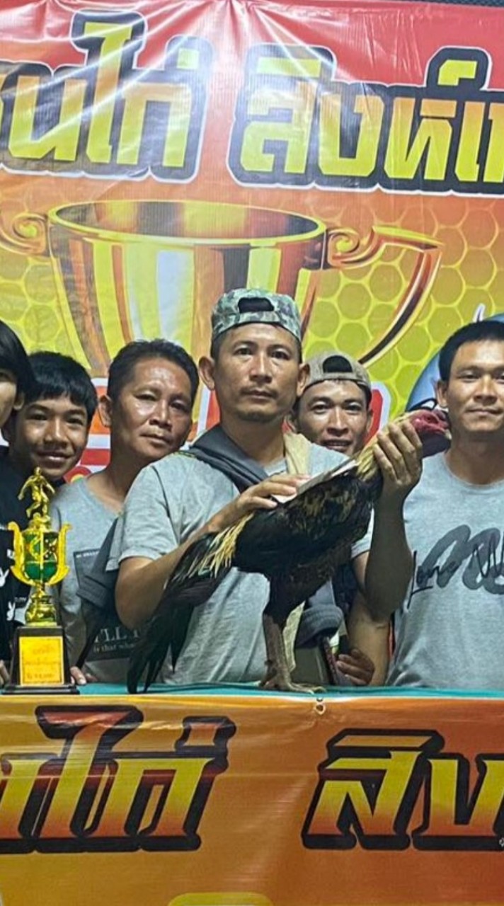 ซุ้มไก่ชนเพชรชายทอง