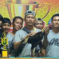 ซุ้มไก่ชนเพชรชายทอง