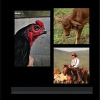 Cowboy Ranger Farm & ซุ้ม ต.ไชยเดช