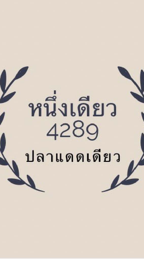 หนึ่งเดี่ยว4289