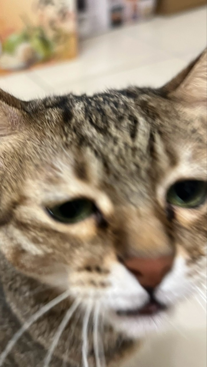 畫圖天地