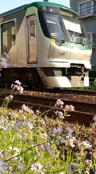 鉄道運行情報について共有する会のオープンチャット