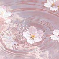 溶けちゃう前にさぁ 、貴方が頬張って！【unei gnki限定 緩也】