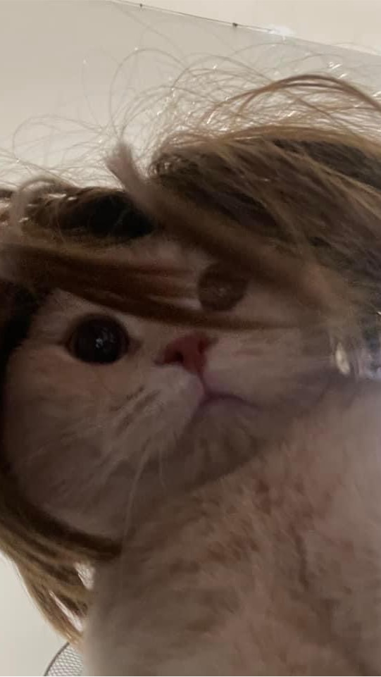 เก็บวิดีโอต่างๆฯ.