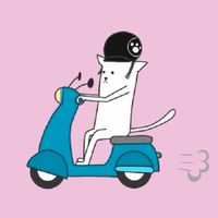 小さなバイクで１人旅🏍