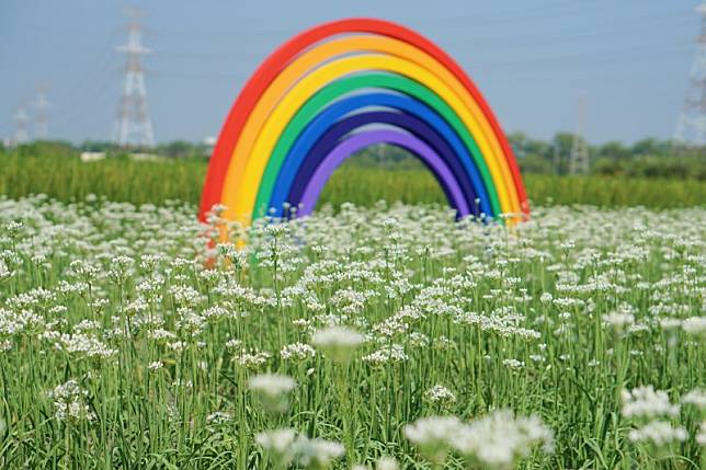 ▲圖片來源：攝影師徐世超