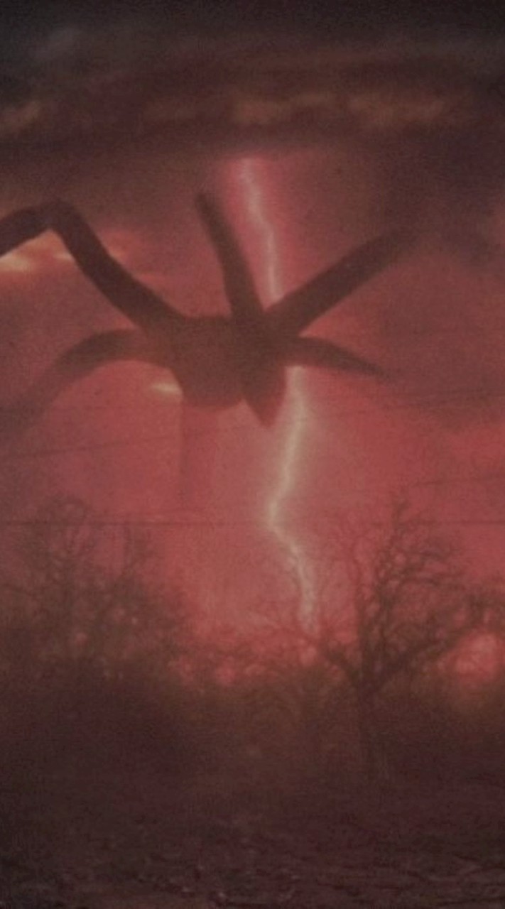 𝙏𝙝𝙚 𝙝𝙤𝙡𝙡𝙤𝙬 𝙡𝙞𝙜𝙝𝙩𝙨 𝙤𝙛 suı̣ʞʍoɥ .