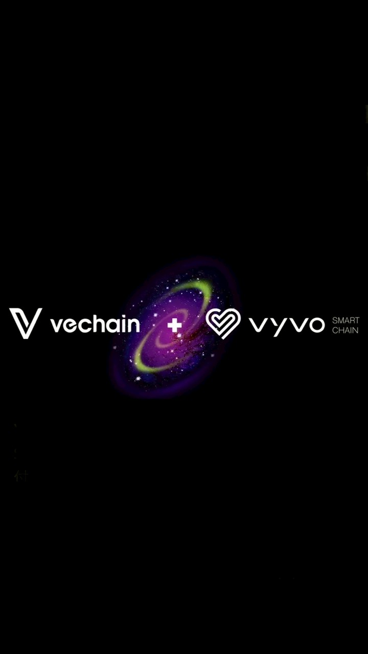 Vyvo × VeBetterDAO 情報共有（日本）