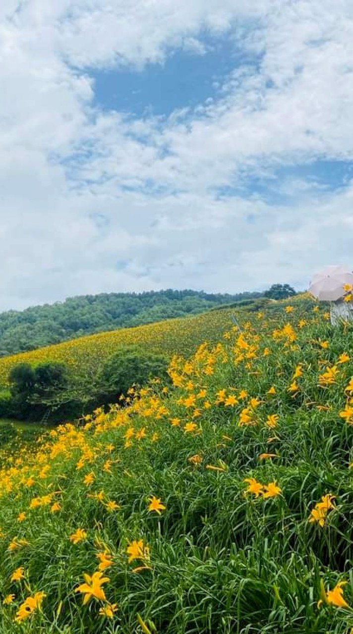 居家清潔打掃（客戶清潔需求專用）