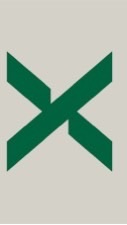 Stock X 解答群