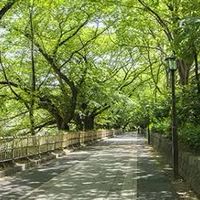 鳥取大学おさんぽサークル