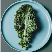 🥬羽衣甘藍 羽球團