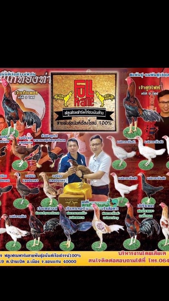 ฟูลเฟรมฟาร์มสายพันธุ์อนันต์เรืองโรจน์100%